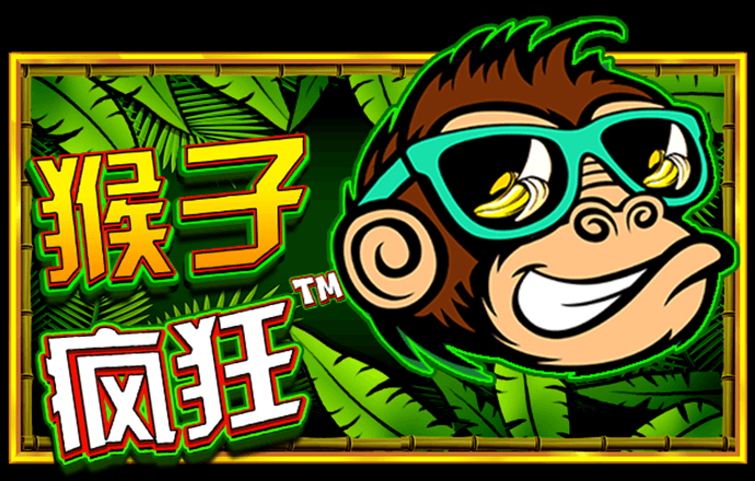 刘伯温三期内必开一期